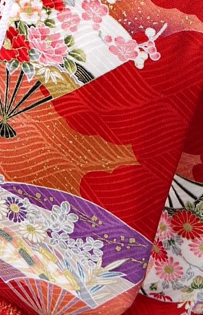 dol'sl kimono detail of pattern